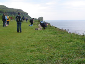 Isle of Lunga, Treshnish Isles: Puffin Watching