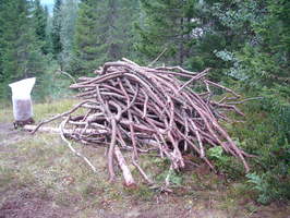 Pile of gleaned branches