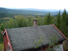 View from top of second tree