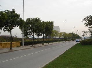 The Route from Blue Horizon Hotel to SSRF: Zhangheng Road