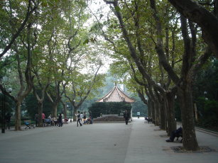 Tai Chi in a Park in the French Concession Area of Shanghai