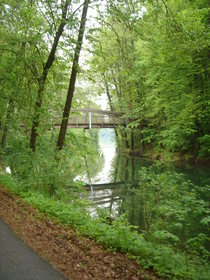 Werbellin Canal