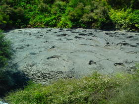 Rotorua: mud pool at Te Puia