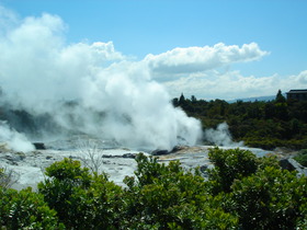 Rotorua: geyser at Te Puia