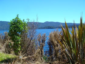 Probably a view of Lake Mapourika