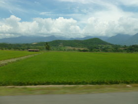 Rice field on the way to Cocachimba