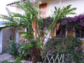 A Garden in Cocachimba