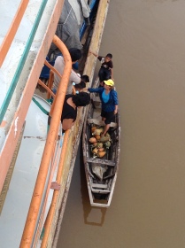 A Villager selling Pinapples to the Passengers