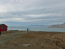 View from the Rifle Range<br>across Isfjorden