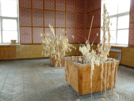 Dried Flowers in Pyramiden's Canteen