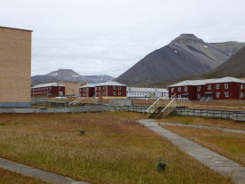Pyramiden: more imported grass