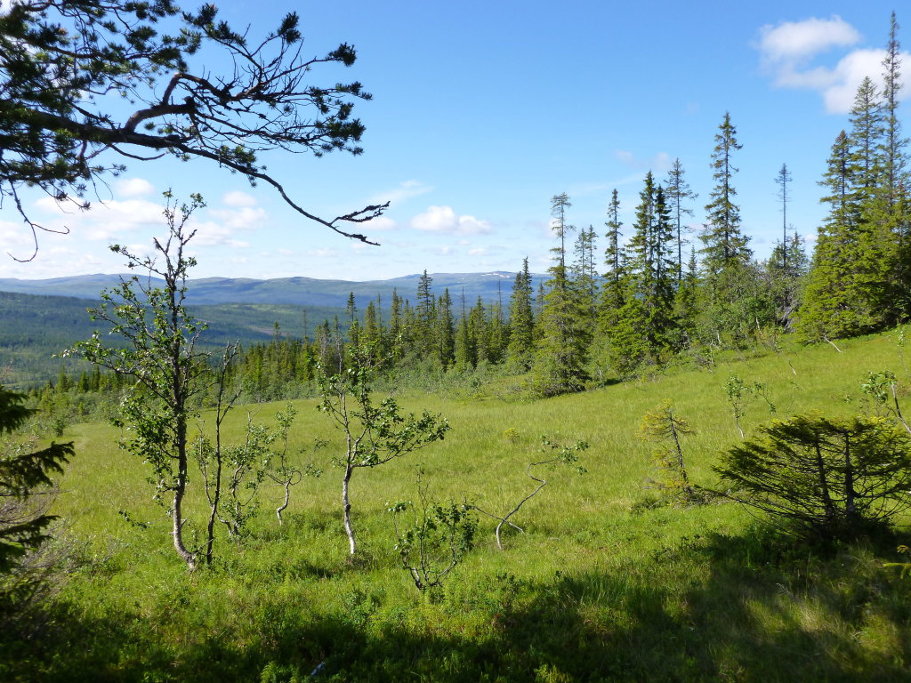 View back to Korsfonnfjellet on Walk to Copper Mine