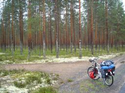 Wilderness between Kestilä and Utajärvi