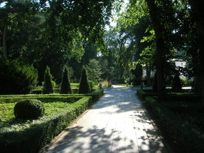 A Park in Binz